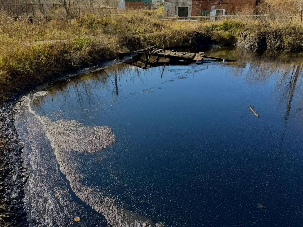 В Хабаровском крае устраняют последствия разлива мазута Амурская бассейновая природоохранная прокуратура